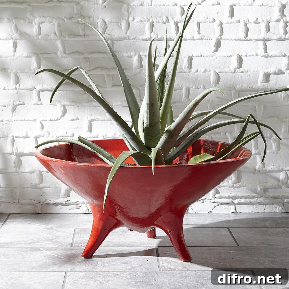 red stoneware conical planter