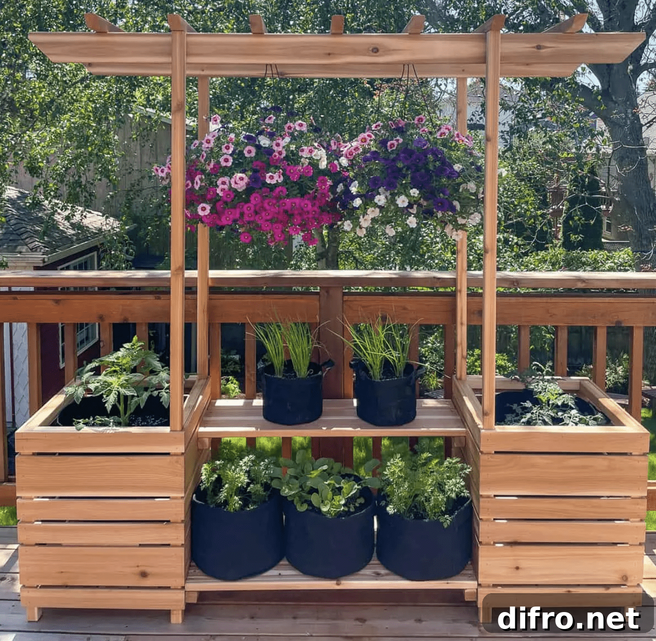 outdoor plant stand with arbor filled with plants and hanging flowers