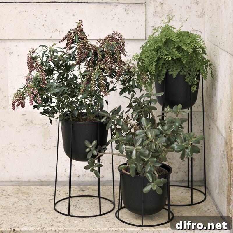 black pedestal plant stand