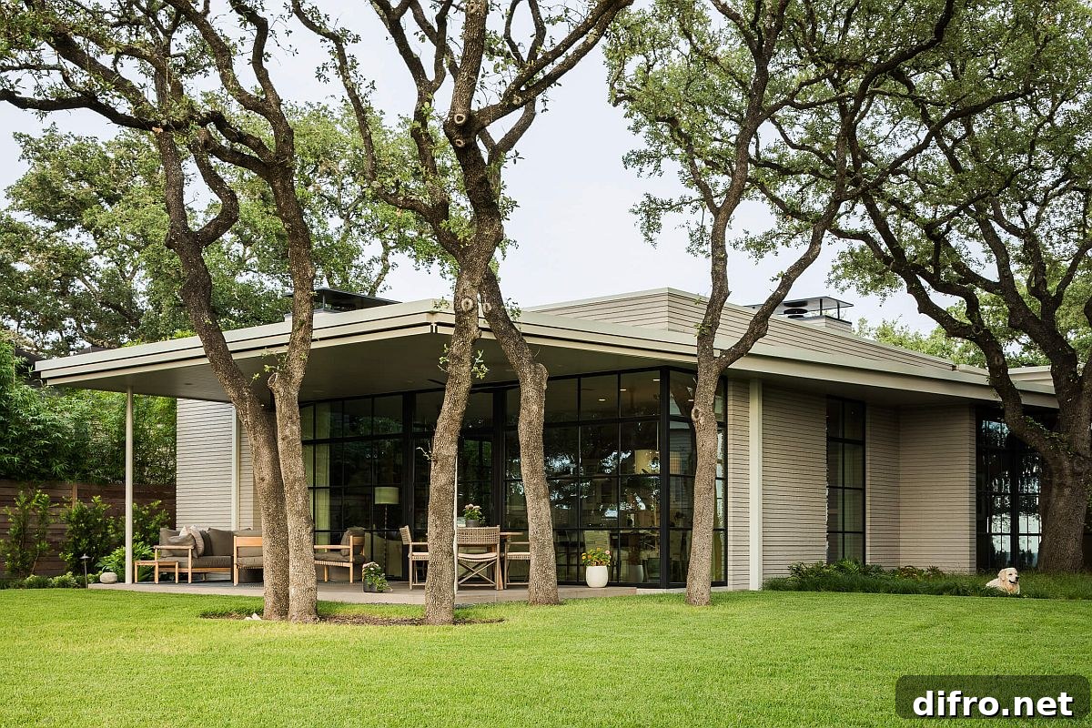 Floor-to-ceiling steel windows connect the new interior with the large rear garden and the oak tree outside