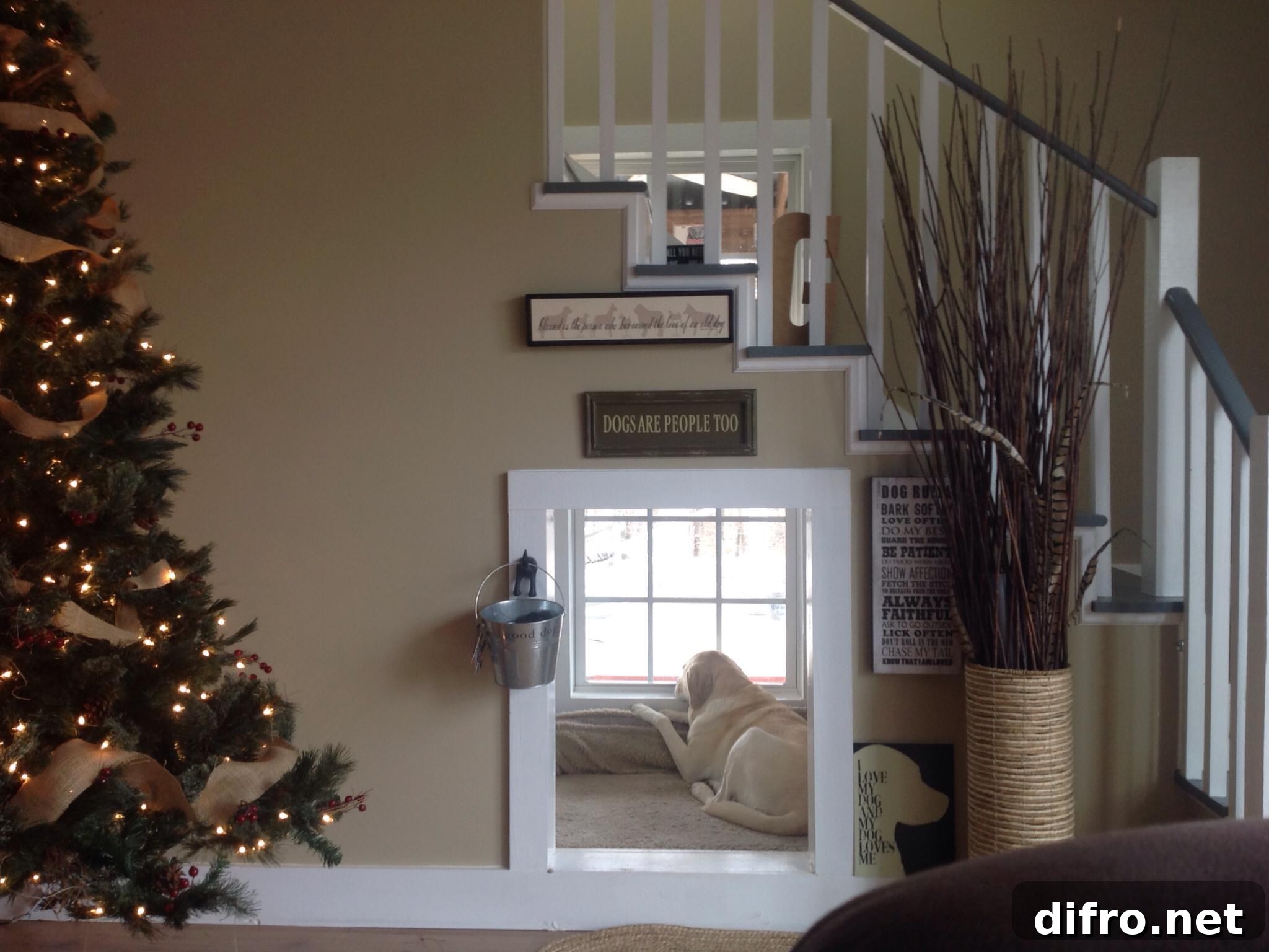 Dog nook under the stairs