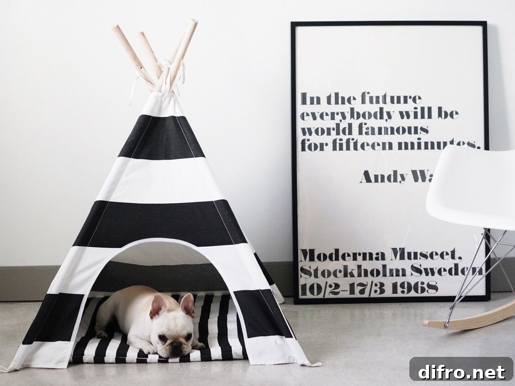 Dog teepee hideaway