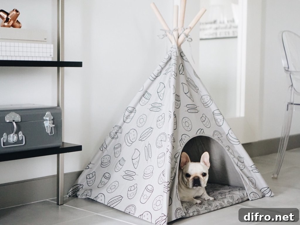 Stylish puppy teepee