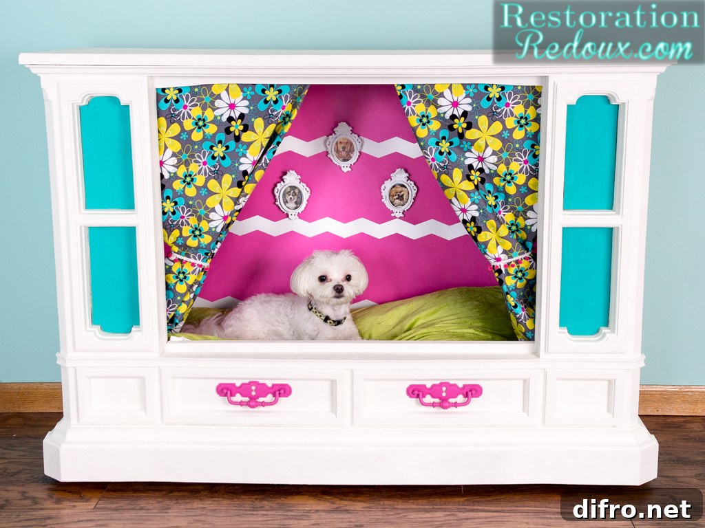 Elegant and glamorous dog nook