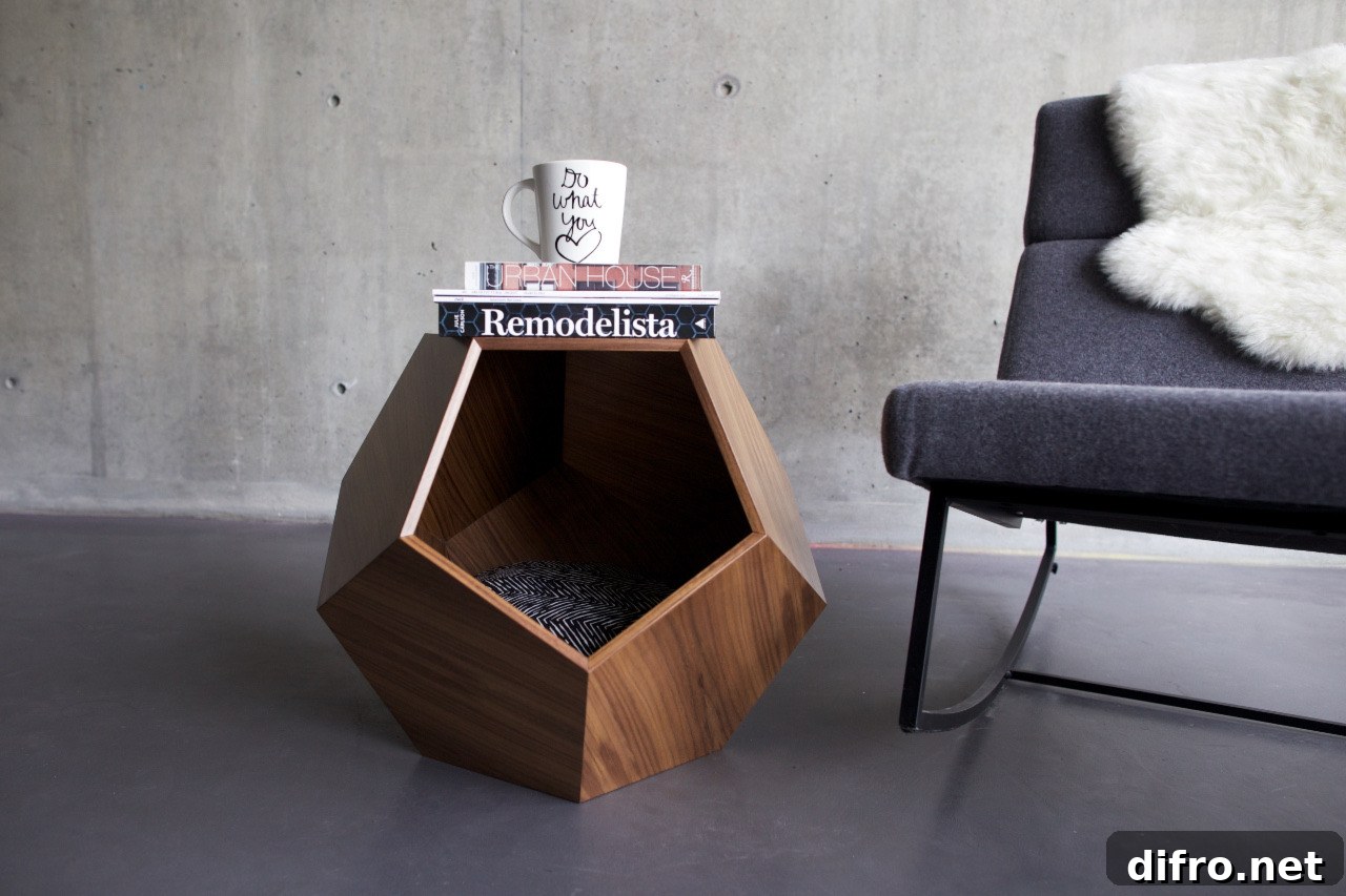 Geometric modern dog nook
