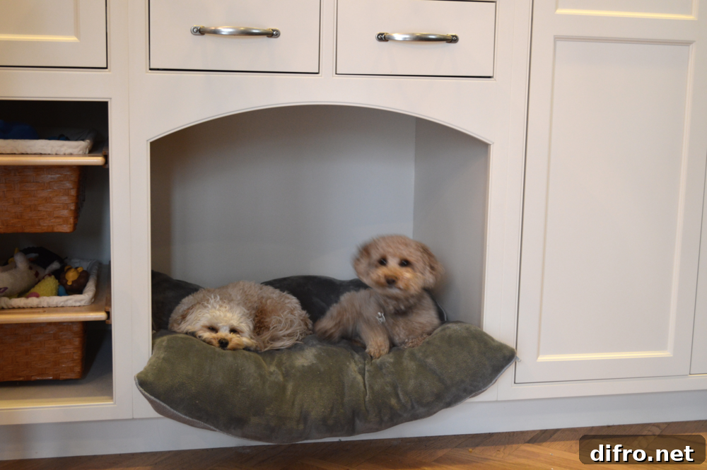 Dog nook in a small cabinet