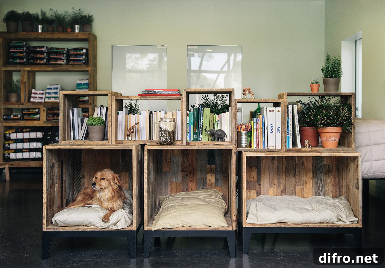 Wooden crates as comfy dog beds