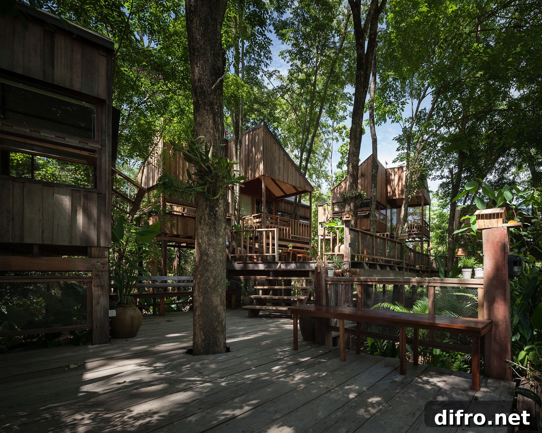 img 234507 1