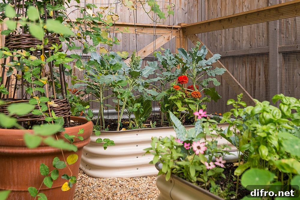 Metallic containers for a small edible garden