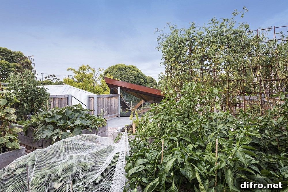 Rooftop edible garden on a Melbourne residence