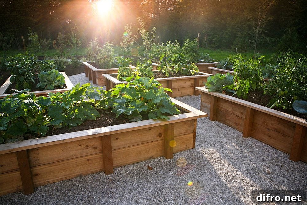 Rustic edible garden at the heart of a landscape