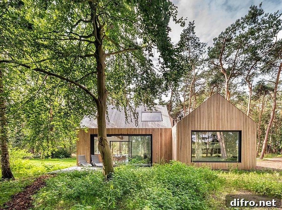 Natural canopy of trees around the cabin