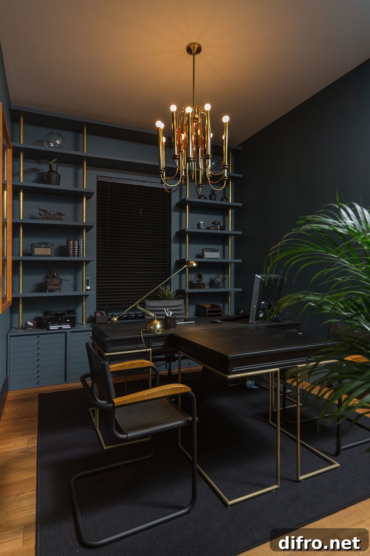Black and dark blue walls create urbane elegance