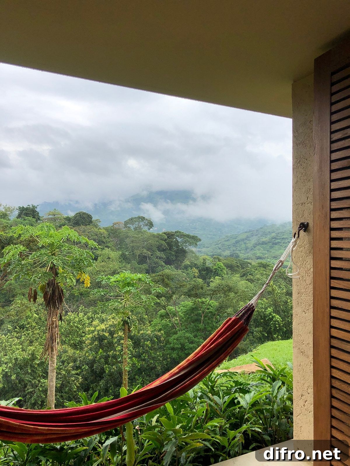 Hammock for those who love their afternoon nap as they take in the amazing sights and sounds outside