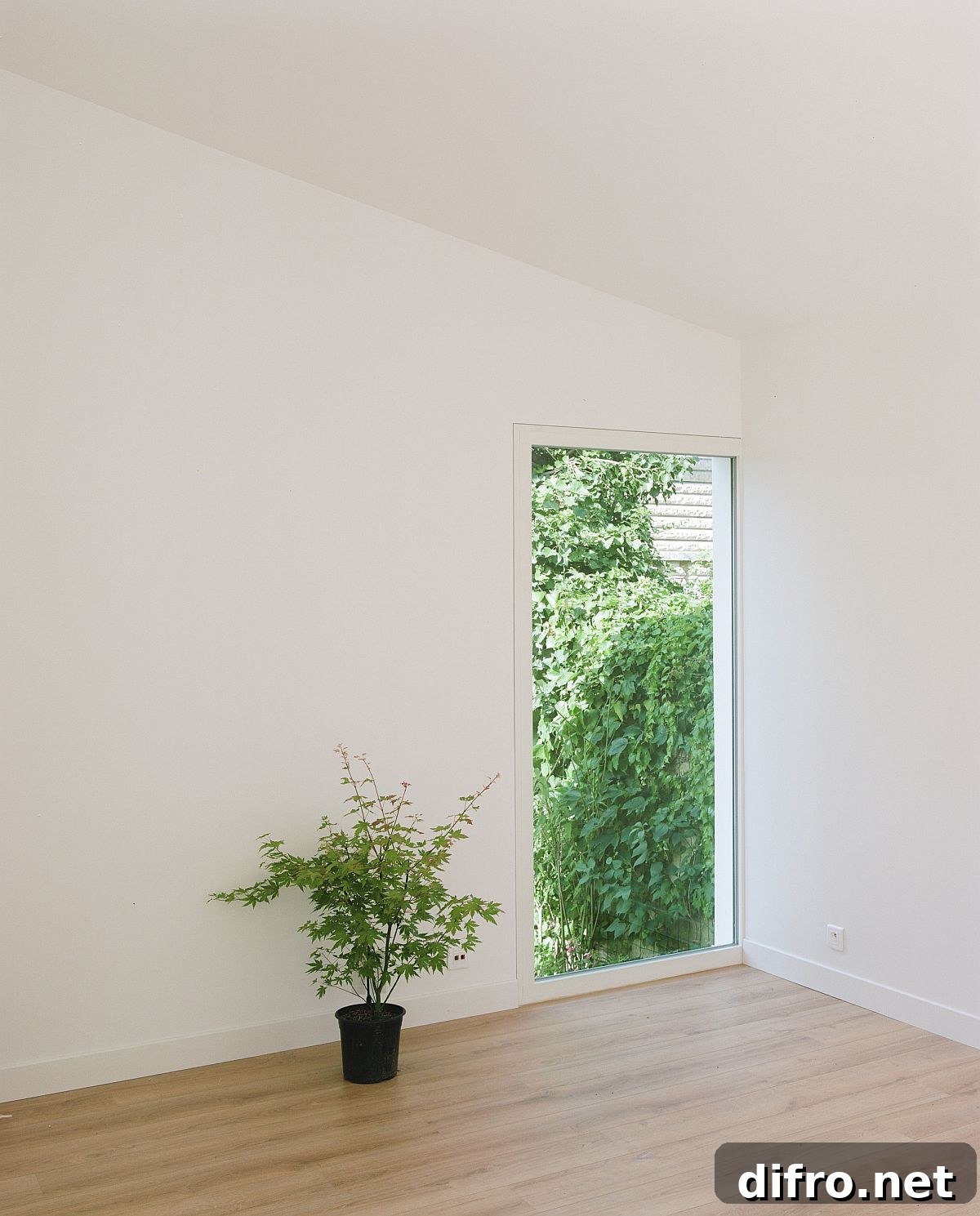 Windows positioned to maximize natural light in the living room