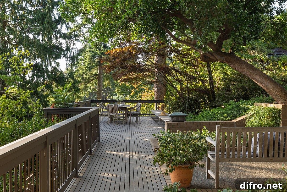 Wooden deck extending into canopy