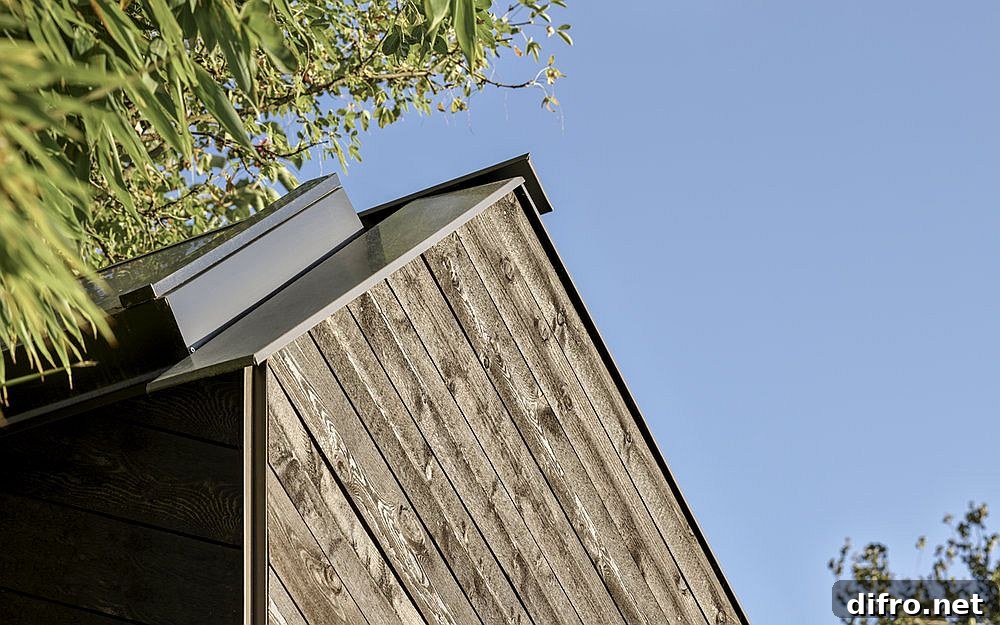 Timber siding and skylight detail on the backyard music shed