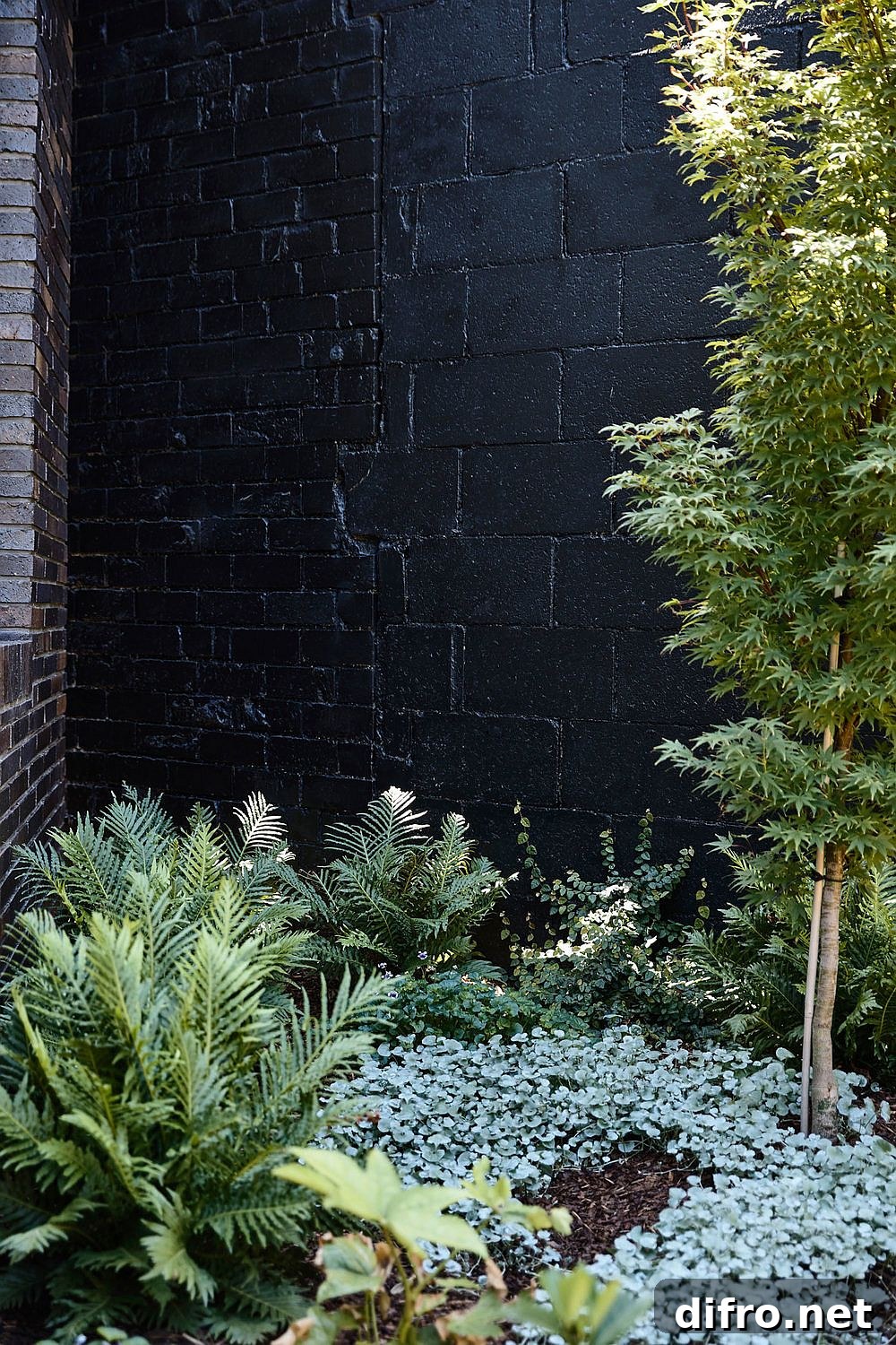 Natural landscape around the Ascot Vale House