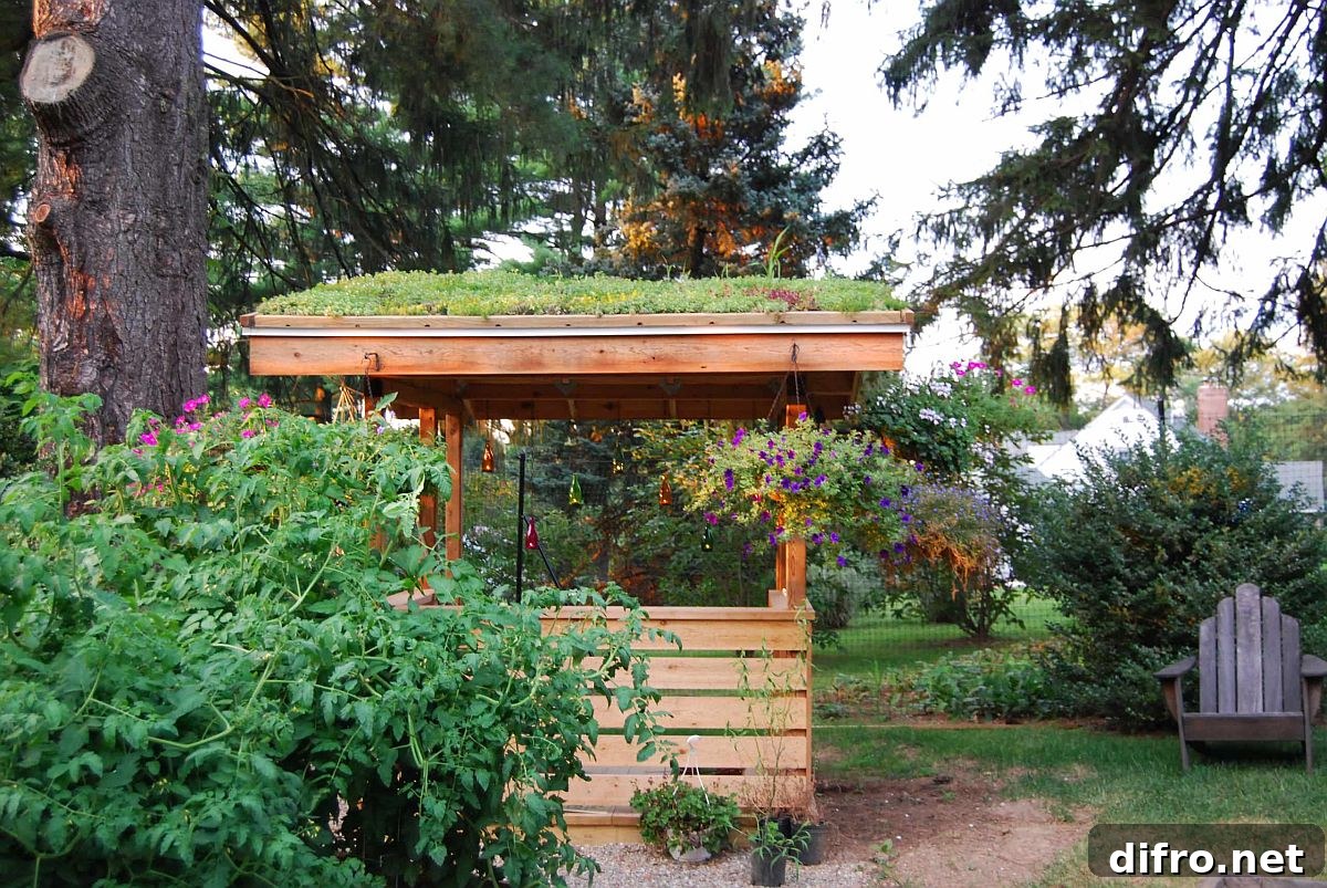 Pergola covered in greenery providing a calm refuge