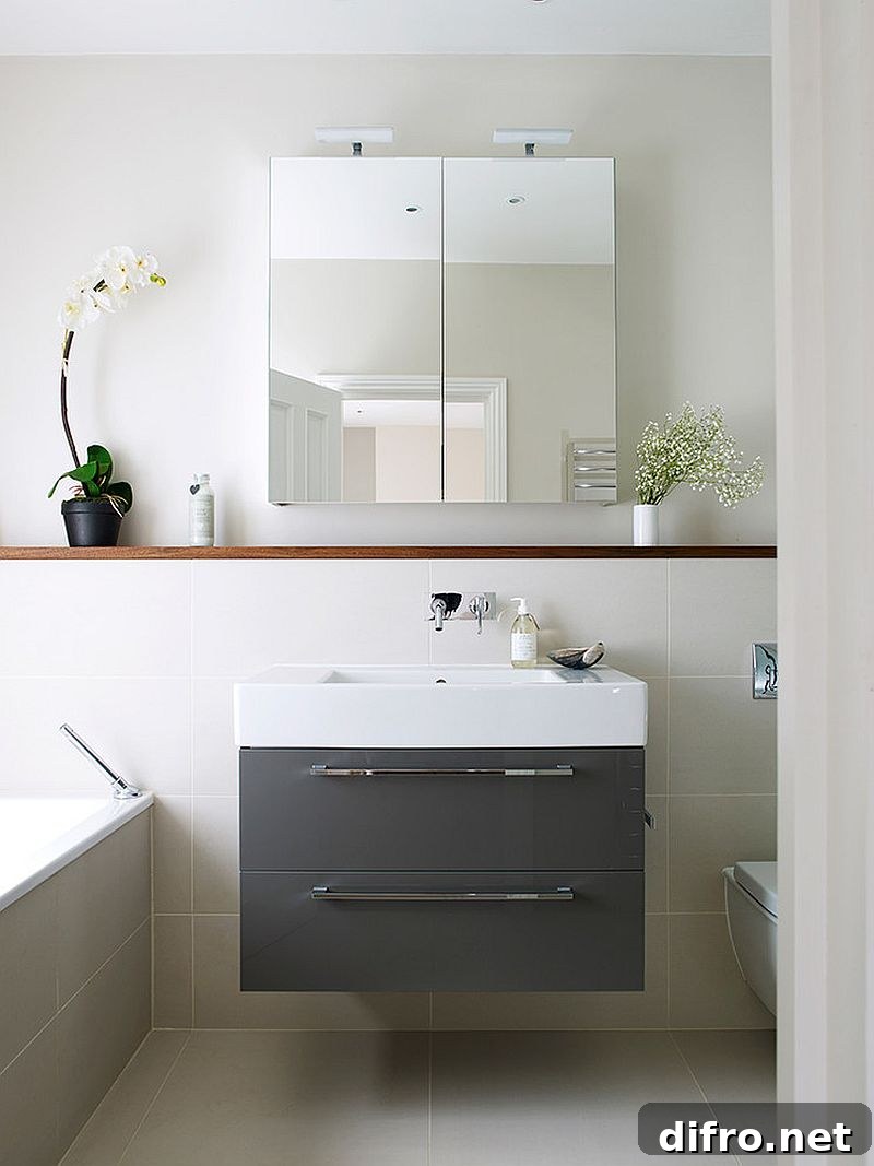 Mirrored medicine cabinets