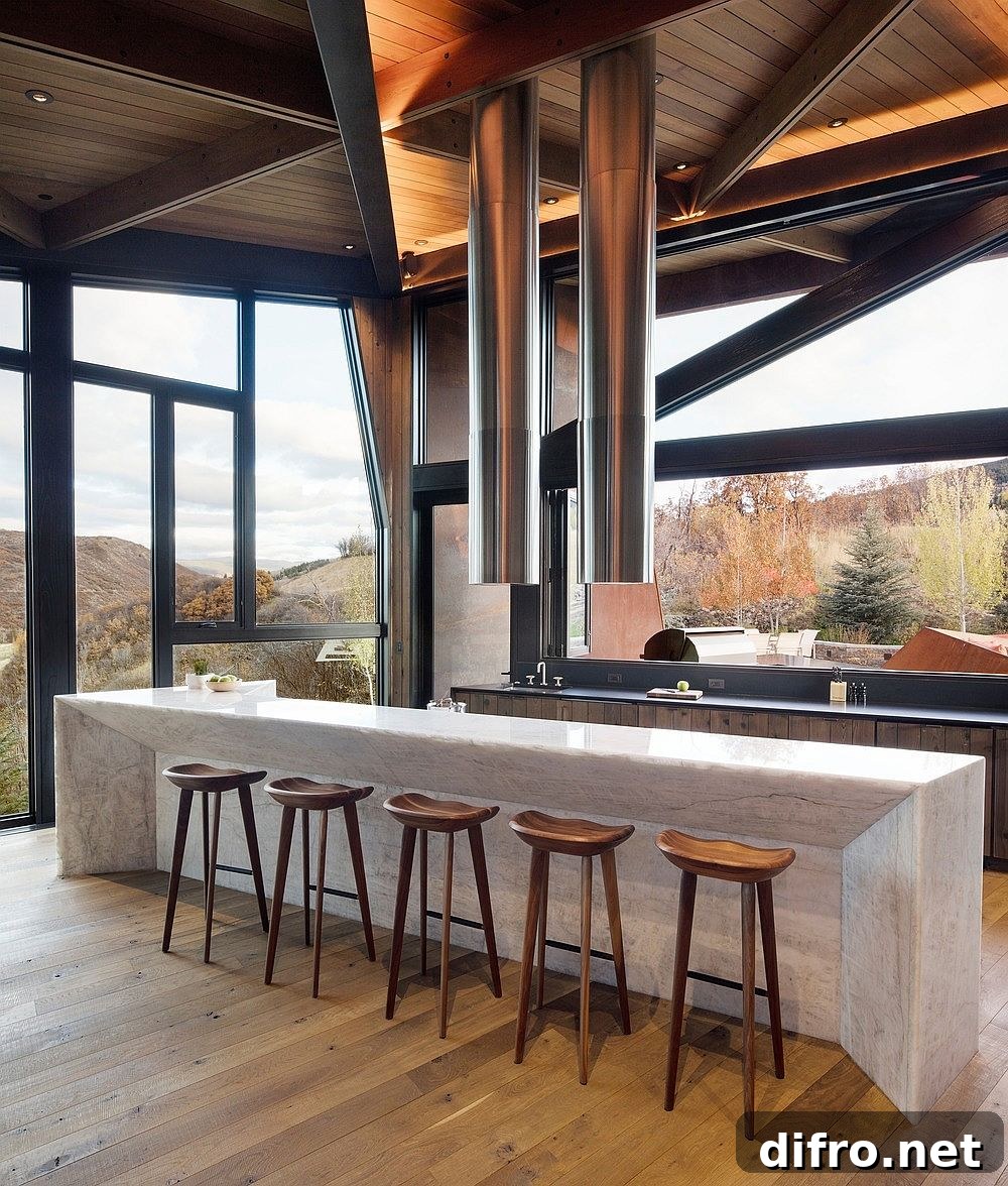 Minimal contemporary kitchen