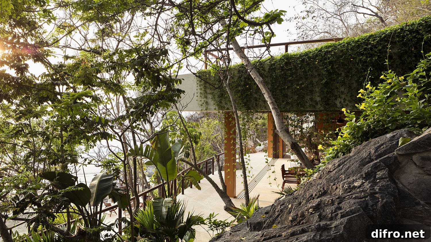 Natural vegetation becomes part of the home's envelope