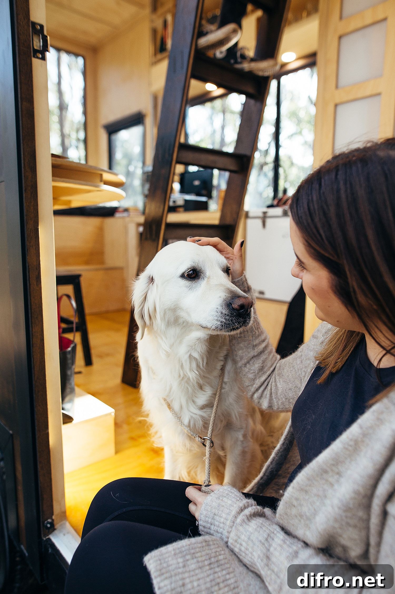 Find tranquility and natural beauty at the off-grid CABN