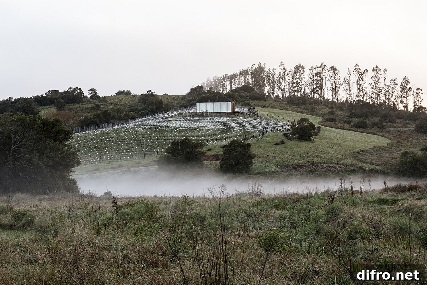 Wine country around Sacromonte Landscape Hotel Shelters