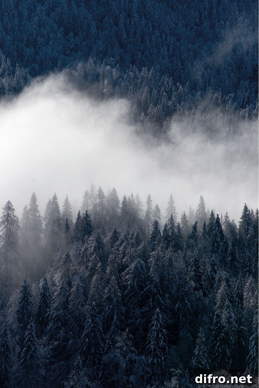Skog (forest). Image © 2016 SKANDINAVISK.
