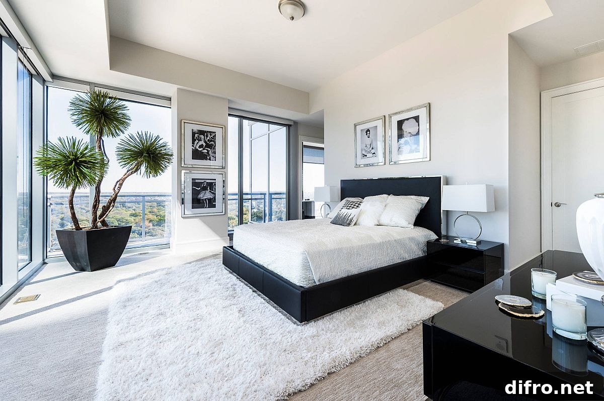 Indoor plant showcased in a bedroom
