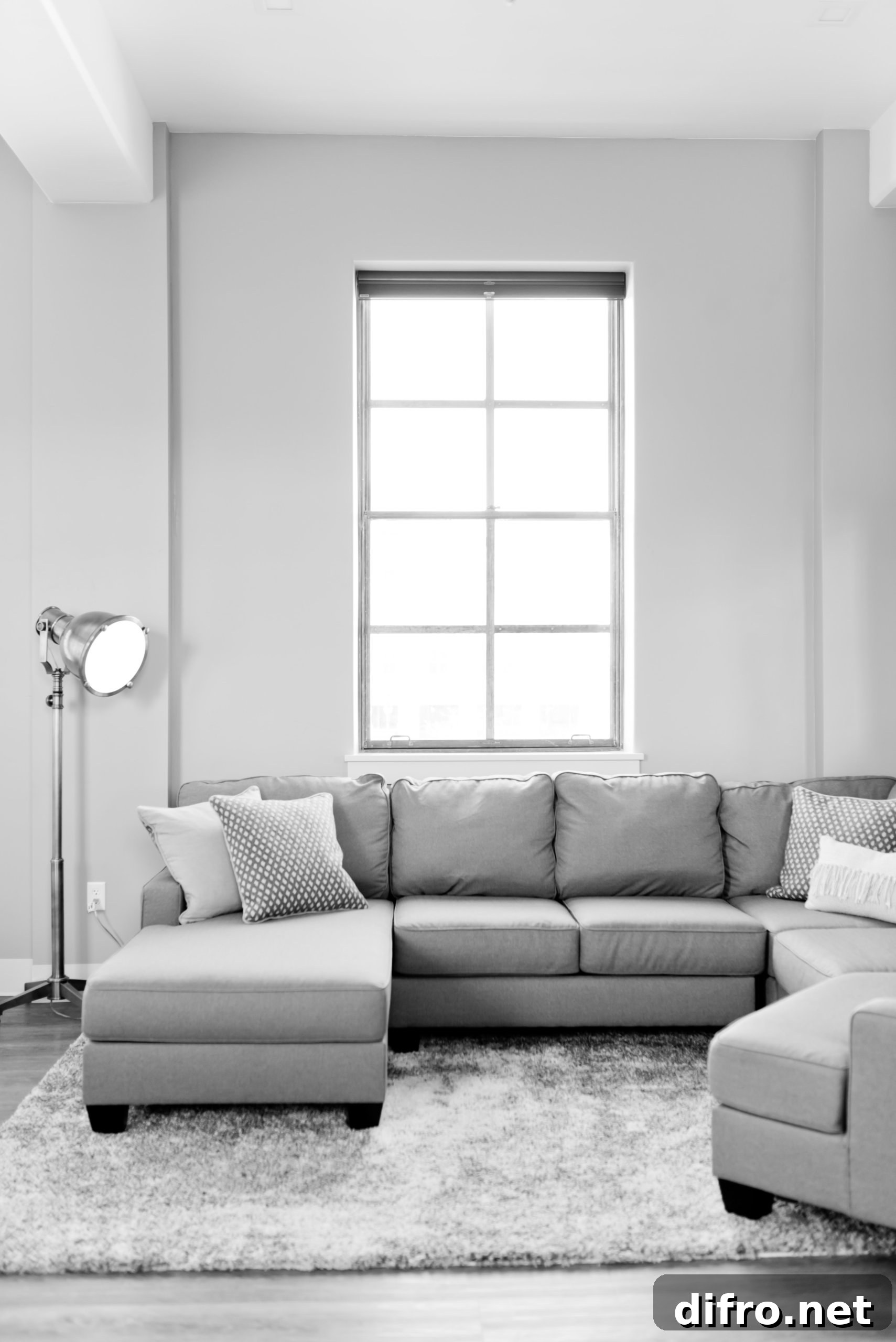 grey paint color with natural light gives illusion of a bigger room