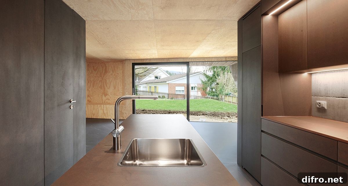 Kitchen with garden view