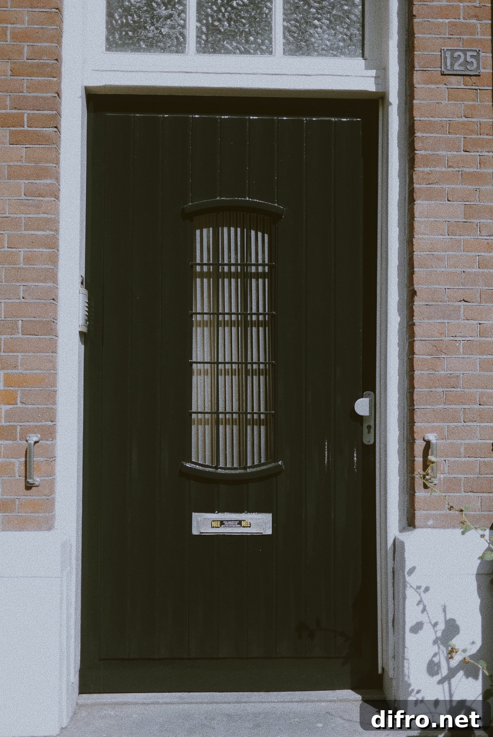 Grills at the center of black door