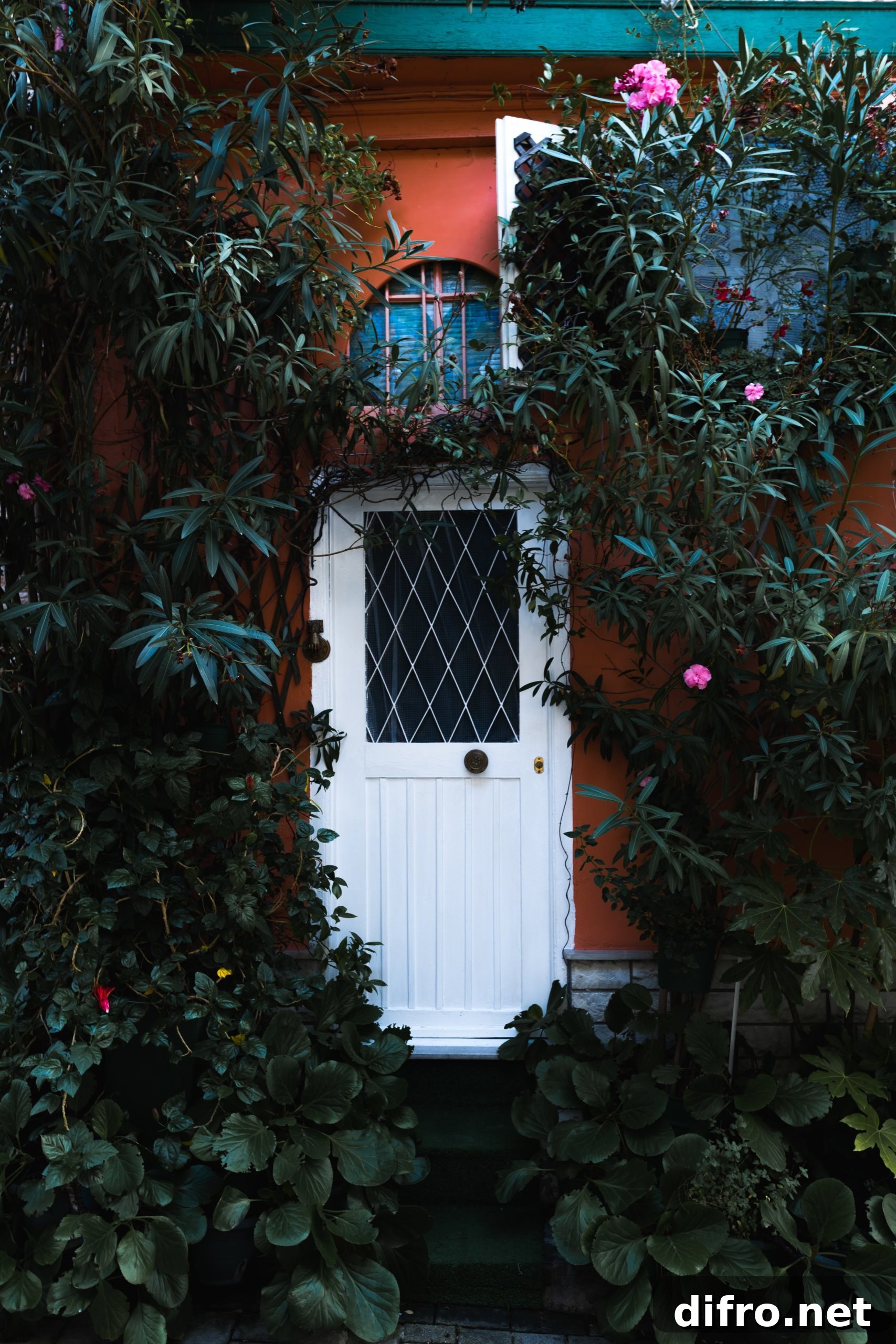 Plants surrounding white door