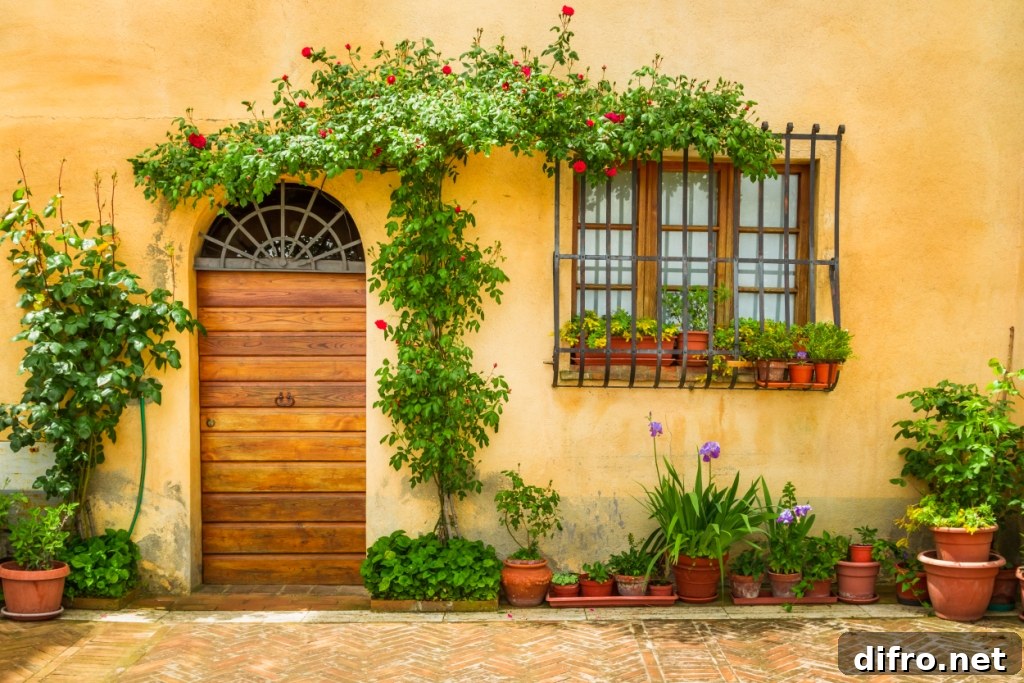 Yellow wall with wooden door and green plants