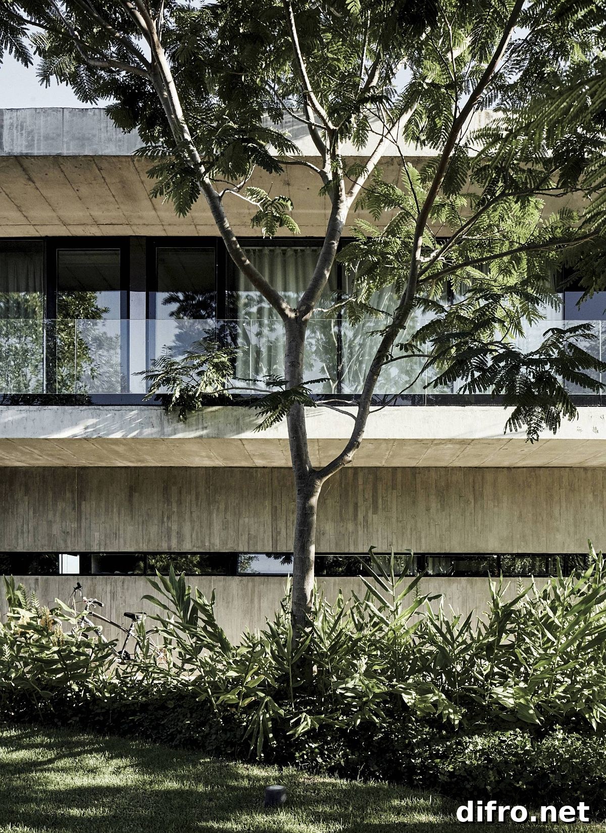 Natural greenery around the house creates sheltered outdoor spaces