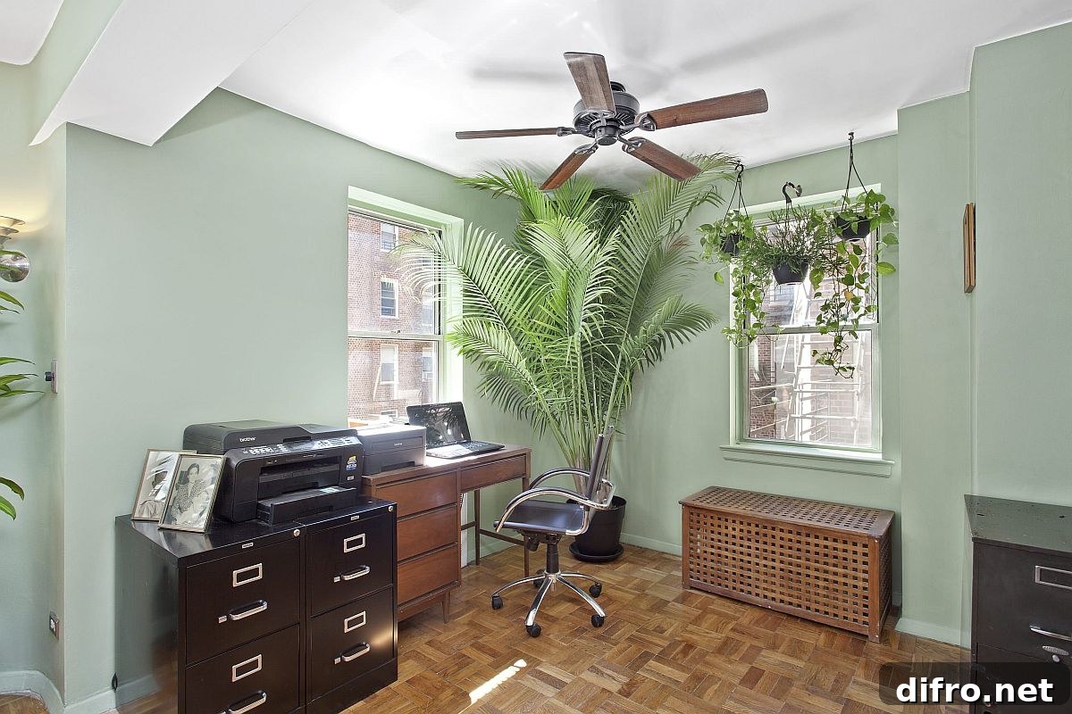 Traditional home office with tropical plant