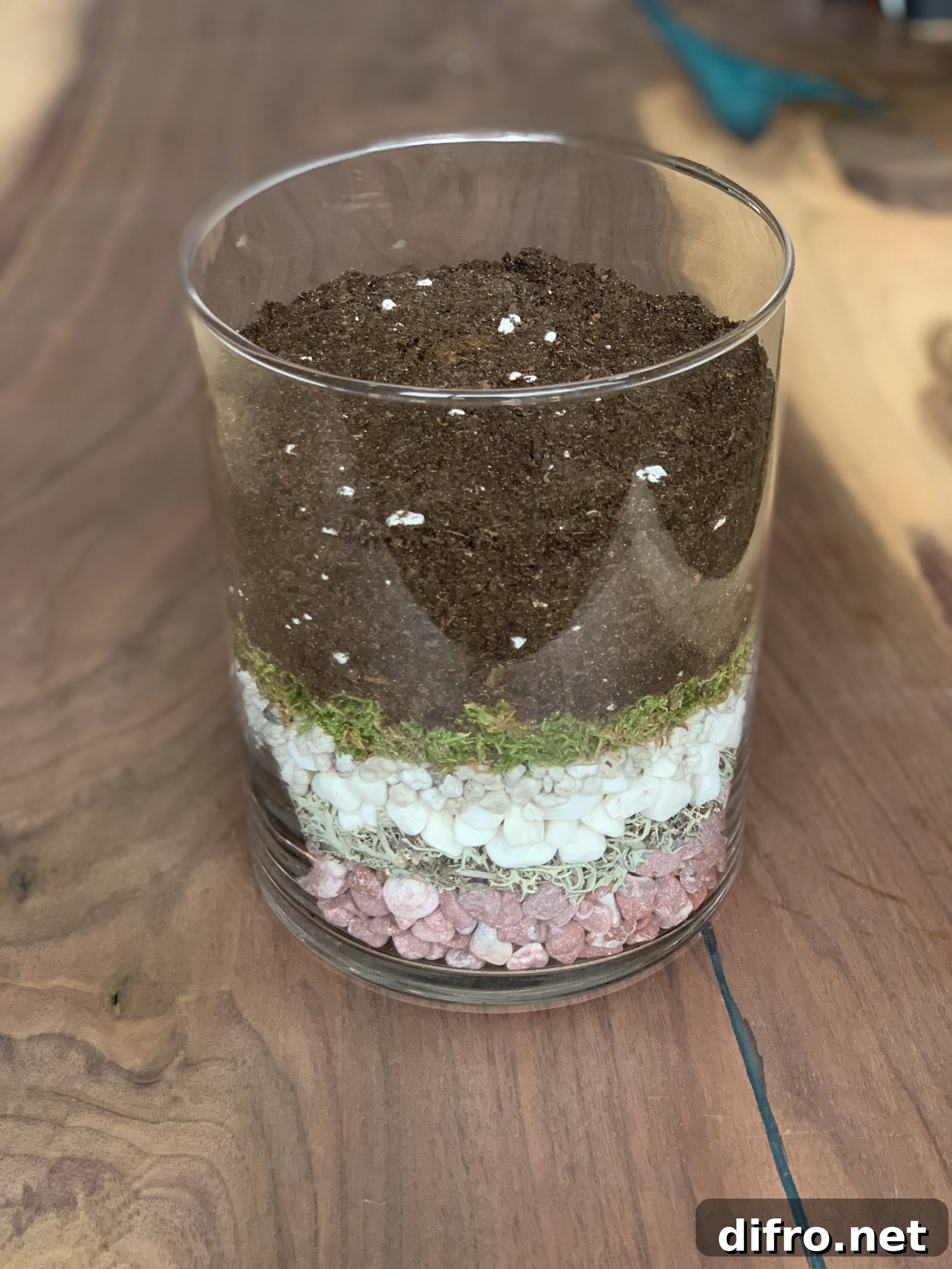 Cactus soil in glass terrarium