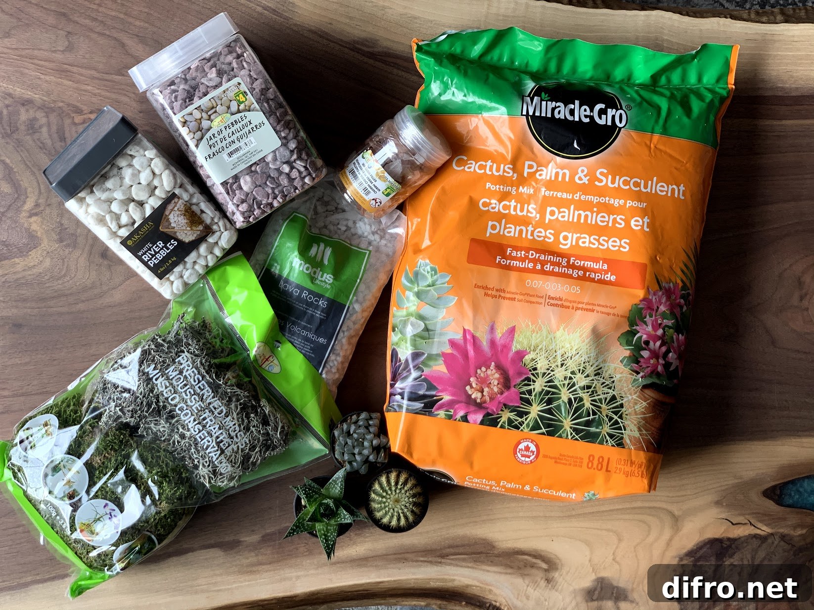 Supply list for decorative succulent terrarium mini garden