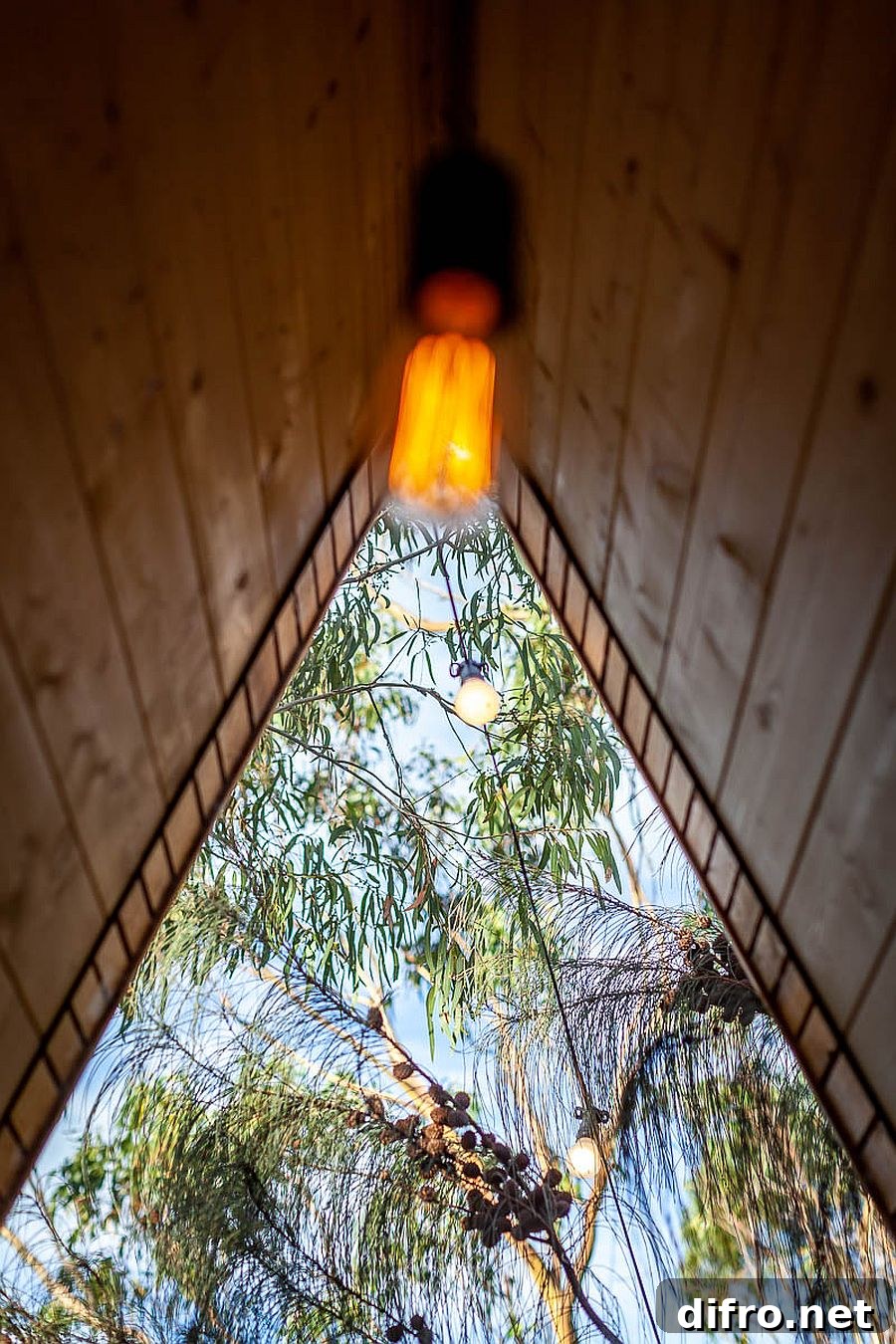 A picture that shows a tree from the point of view of someone standing under the A-frame roof of the house.