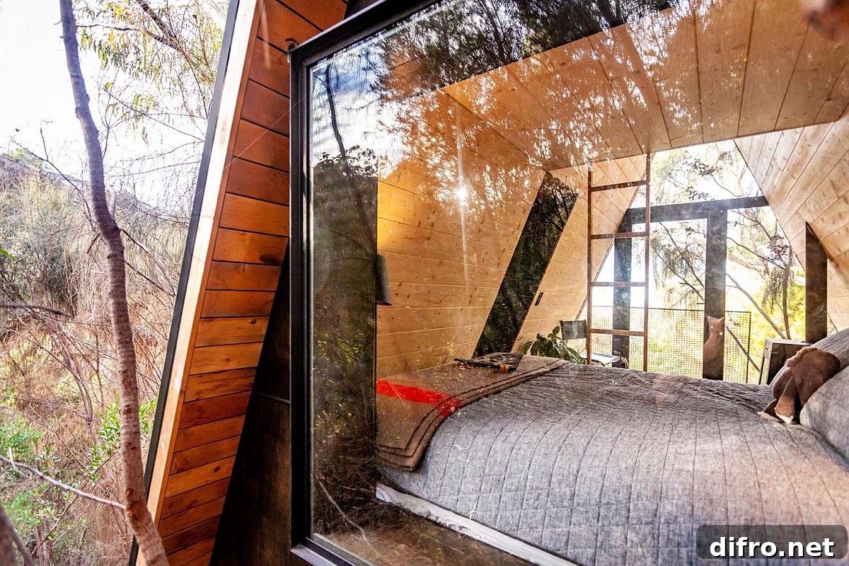 Glass window with a view of the interior of the A-frame house built within a tree.