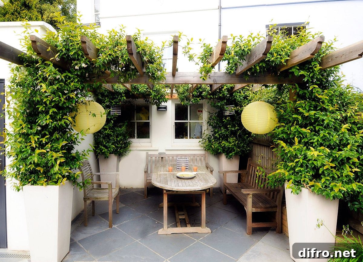Pergola with greenery in a Mediterranean garden