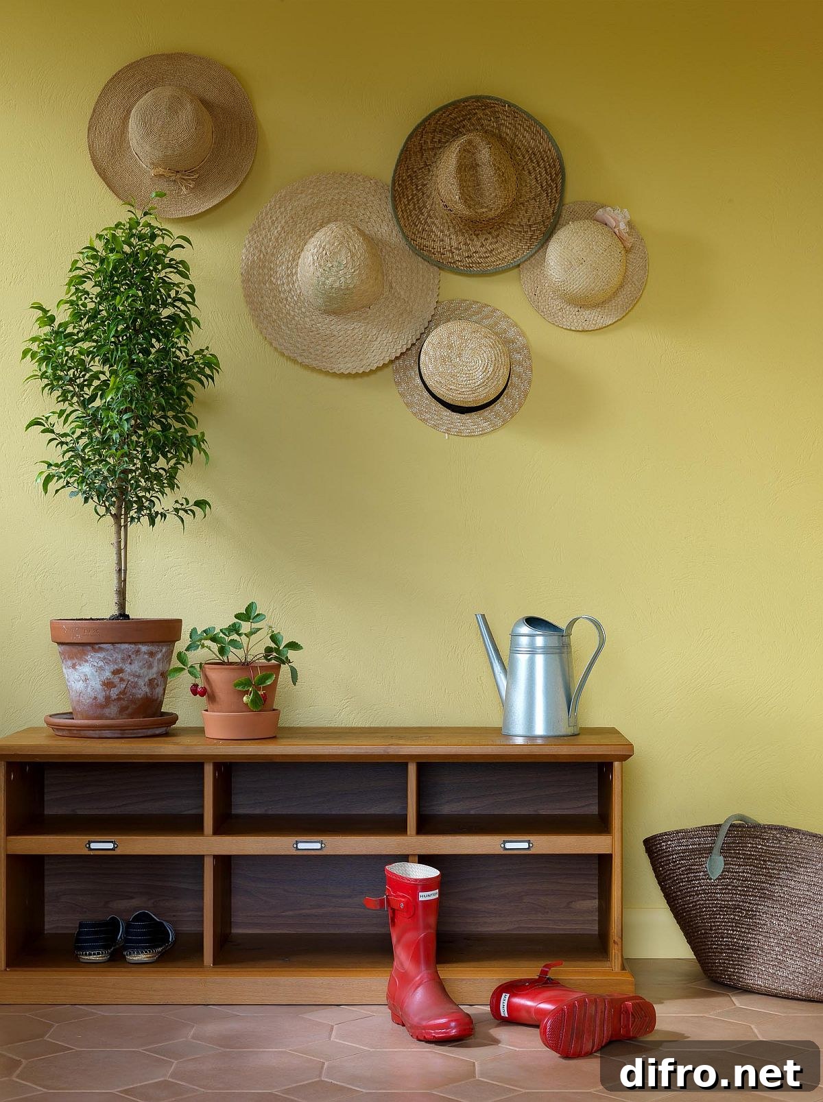 Mellow yellow accent wall in contemporary entry