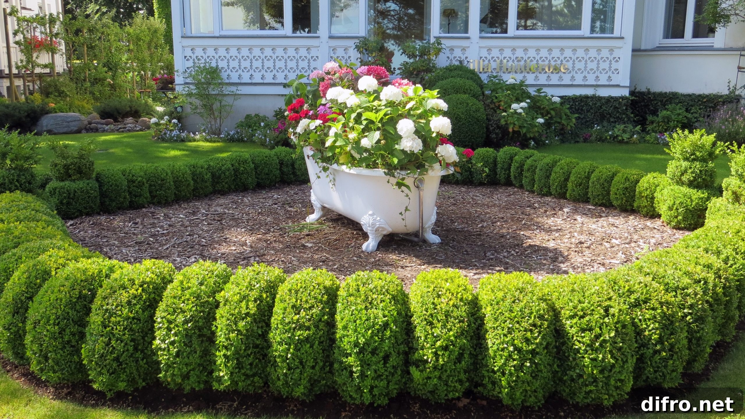 Repurposed bathtub used as a planter surrounded by hedges
