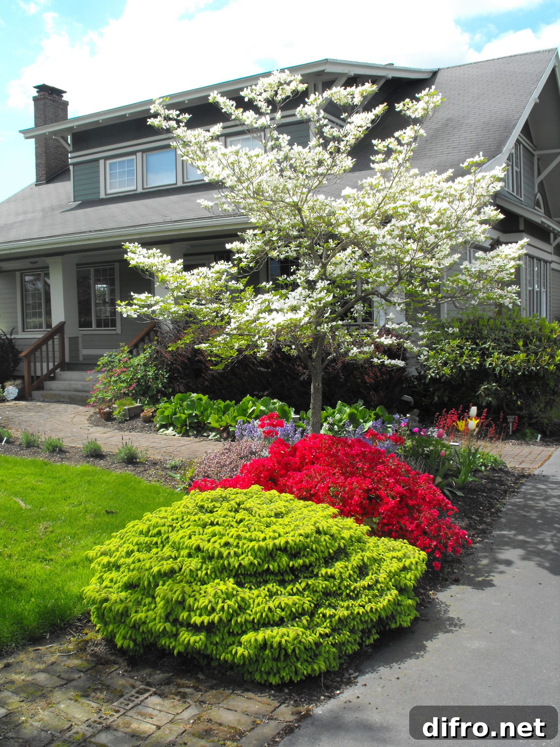 Tree with red azalea and green shrub in front yard