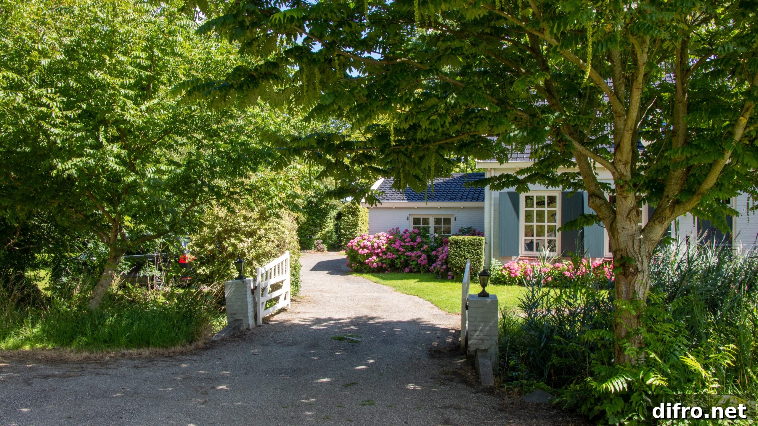 House exterior with trees and driveway