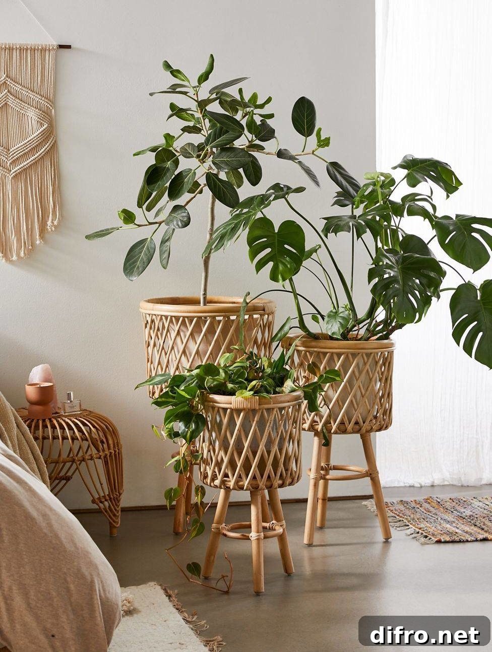 Boho Chic Trend Rattan Plant Stands in Home
