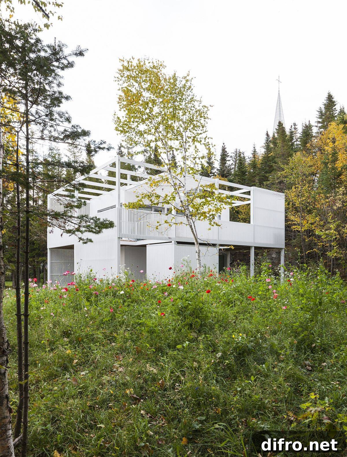 Wild flowers that are a part of the home give it a distinct identity