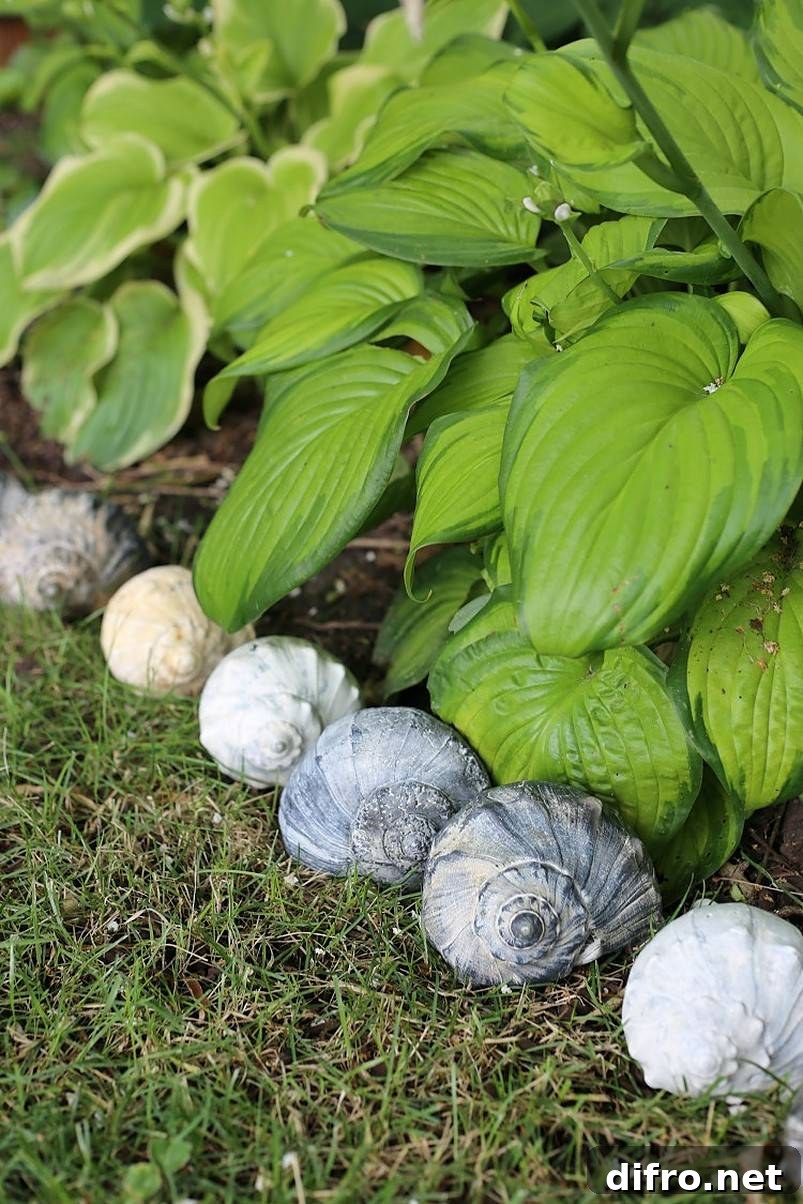 36 Lawn Edging Ideas to Define Your Yard 10 Shell garden edging