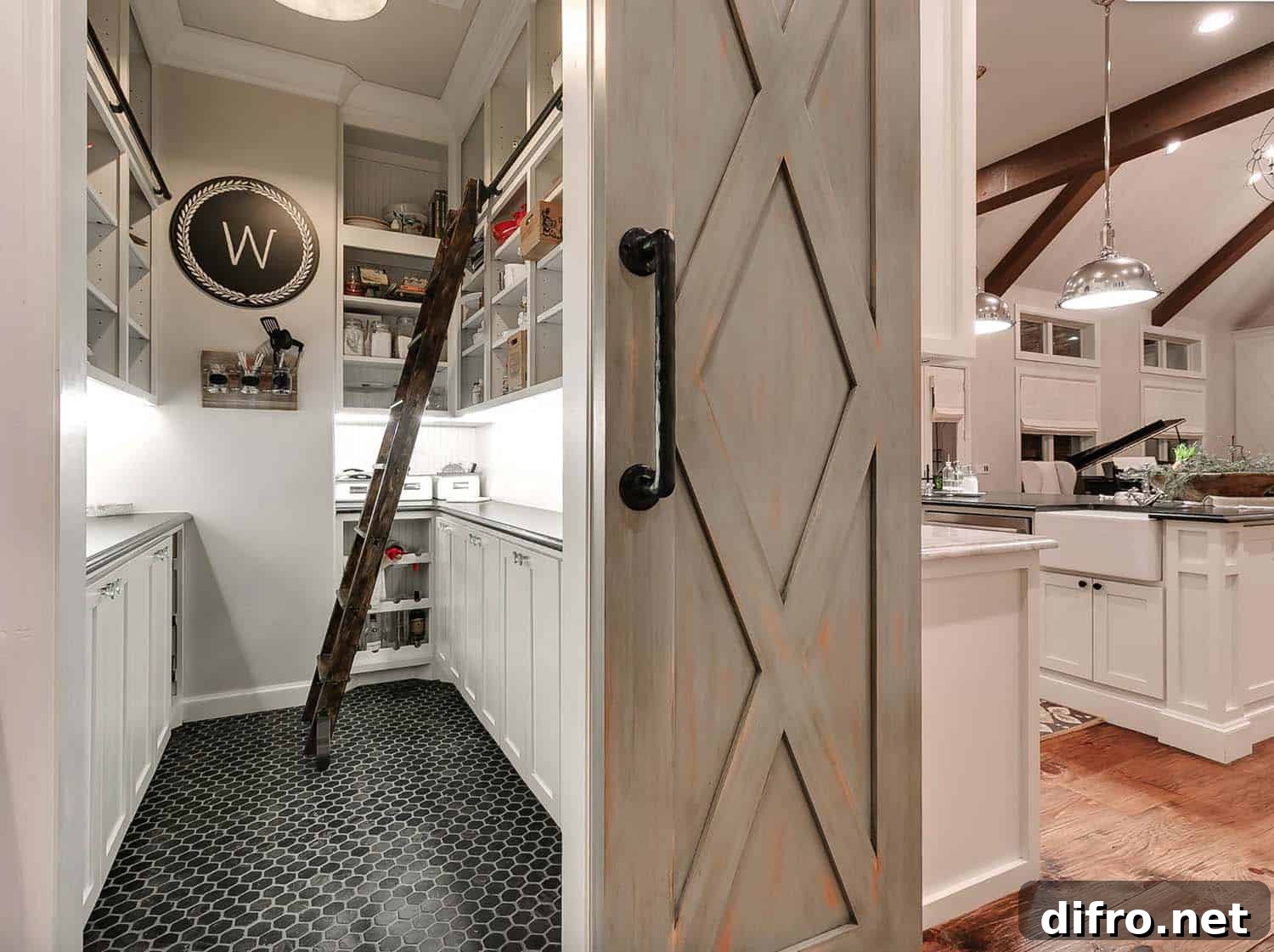 Pantry with a ladder